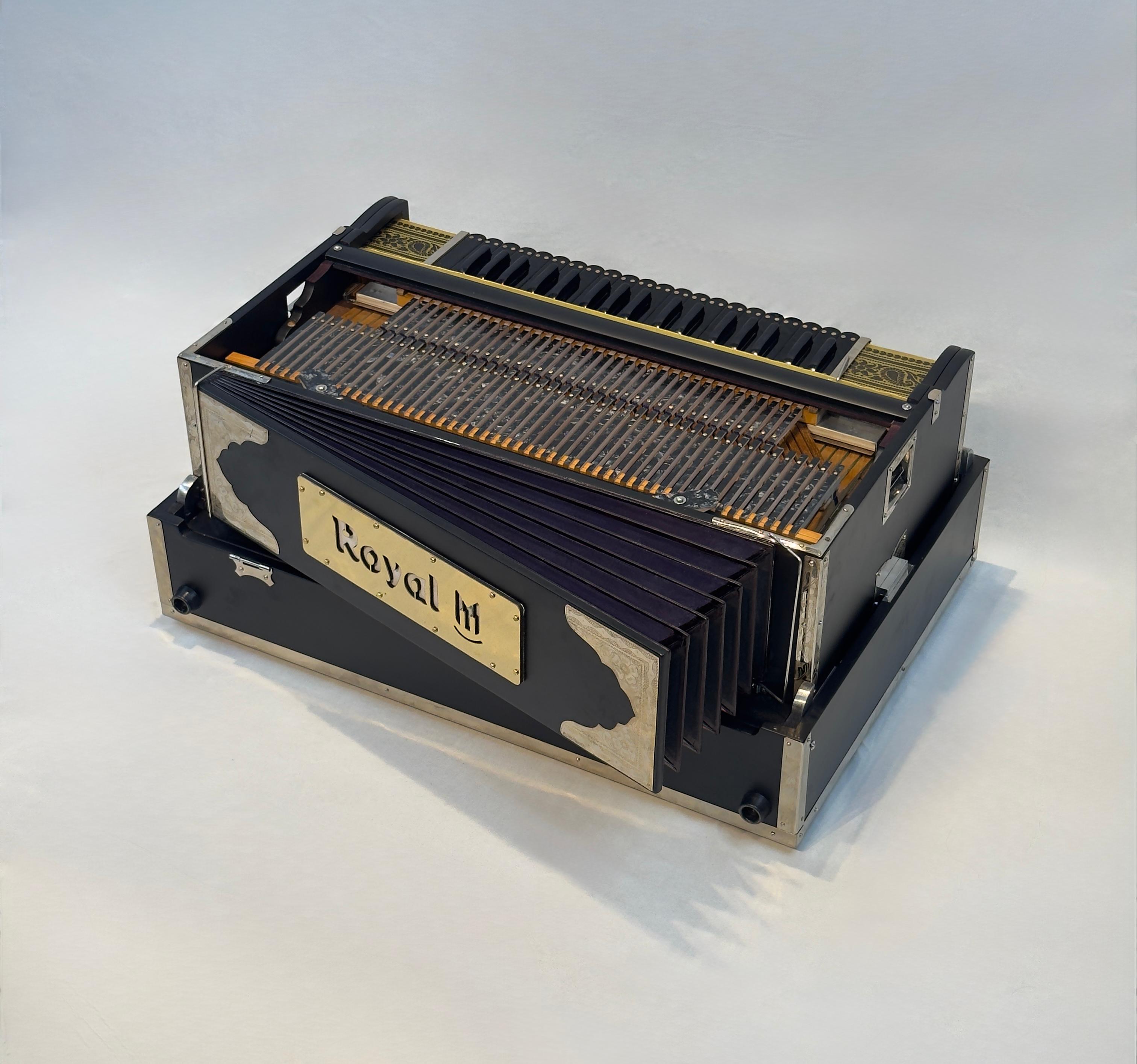 Fully Customisable 5 Line 13 Scale Changer Palitana Premier Reeds